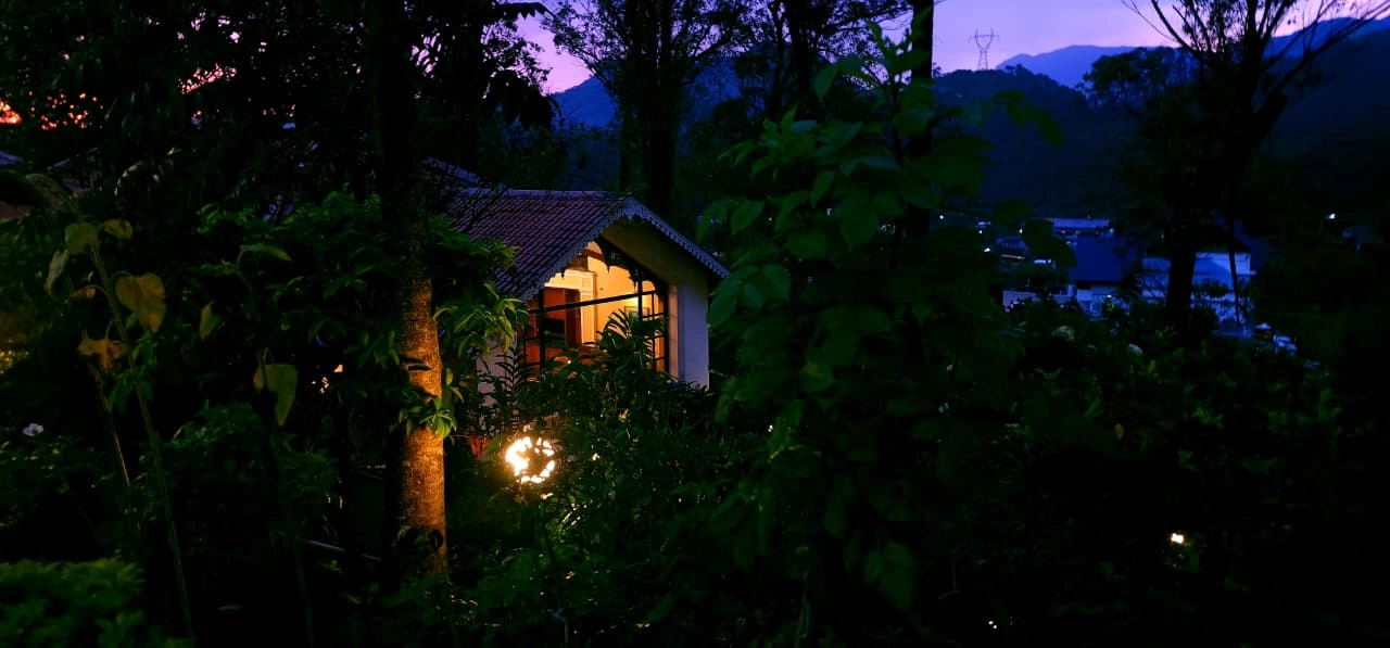Tea County Munnar Garden at Night